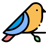 Bird Grooming