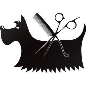 pet grooming shop